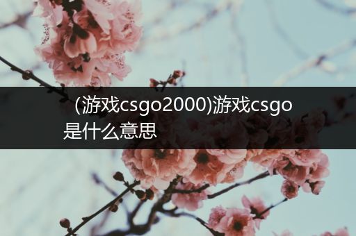 （游戏csgo2000)游戏csgo是什么意思