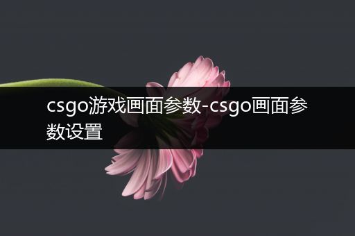 csgo游戏画面参数-csgo画面参数设置