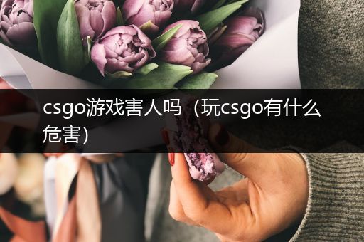 csgo游戏害人吗（玩csgo有什么危害）