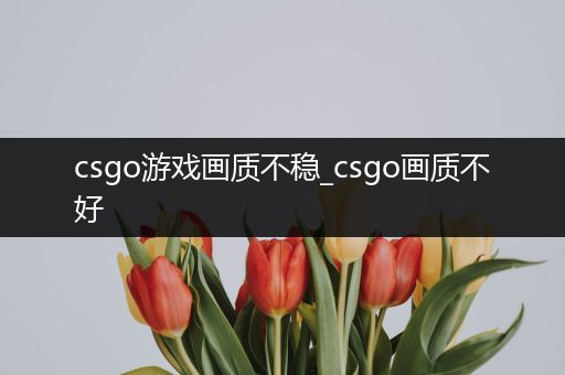 csgo游戏画质不稳_csgo画质不好