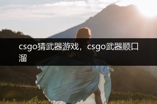 csgo猜武器游戏，csgo武器顺口溜