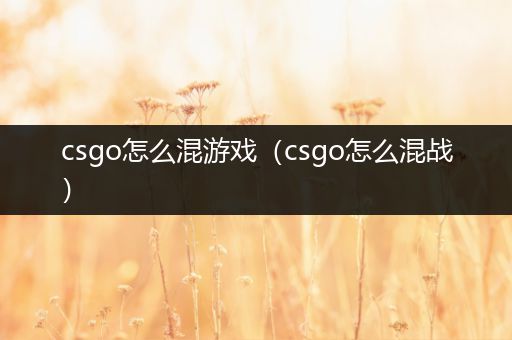 csgo怎么混游戏（csgo怎么混战）