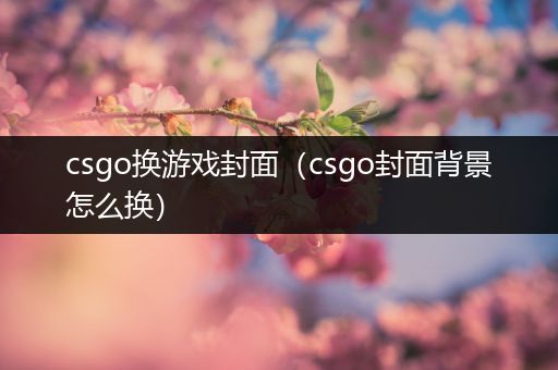 csgo换游戏封面（csgo封面背景怎么换）