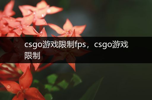 csgo游戏限制fps，csgo游戏限制