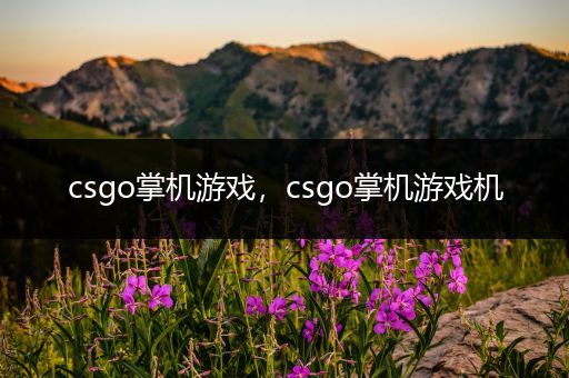 csgo掌机游戏，csgo掌机游戏机