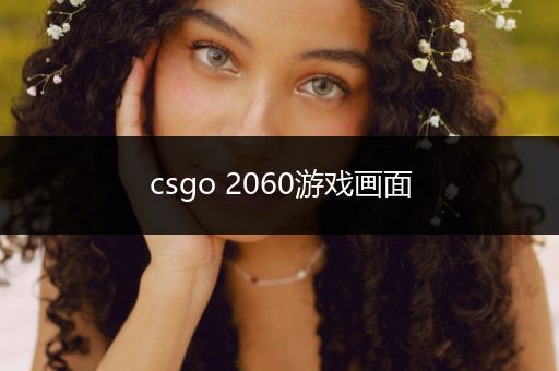 csgo 2060游戏画面