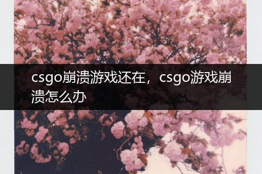 csgo崩溃游戏还在，csgo游戏崩溃怎么办