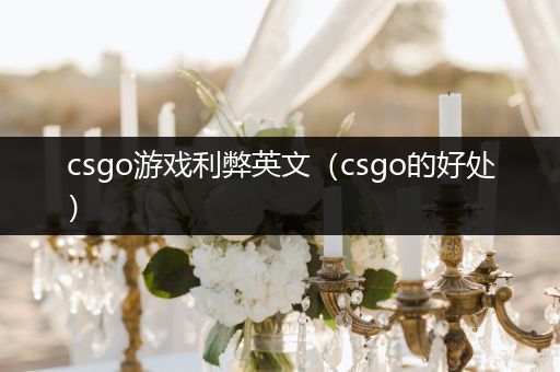 csgo游戏利弊英文（csgo的好处）