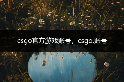 csgo官方游戏账号，csgo.账号