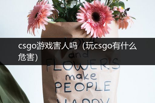 csgo游戏害人吗（玩csgo有什么危害）