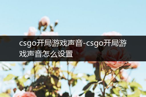 csgo开局游戏声音-csgo开局游戏声音怎么设置