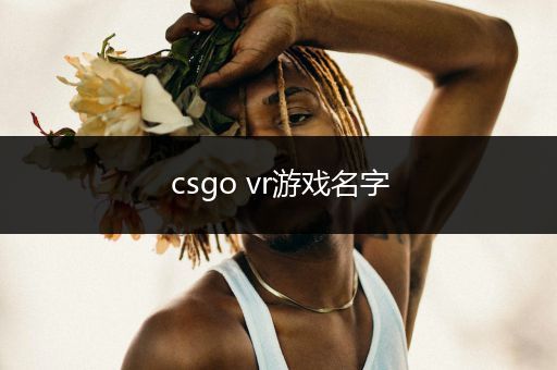 csgo vr游戏名字