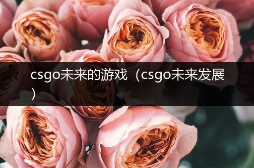 csgo未来的游戏（csgo未来发展）