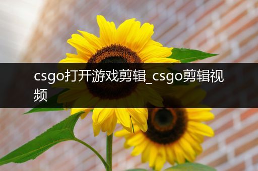 csgo打开游戏剪辑_csgo剪辑视频