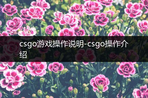 csgo游戏操作说明-csgo操作介绍