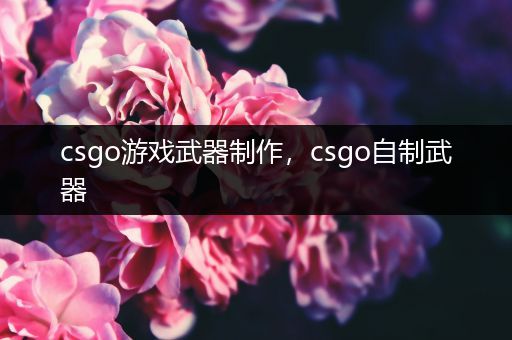 csgo游戏武器制作，csgo自制武器