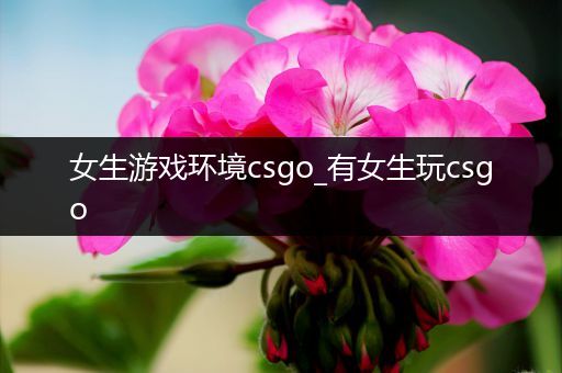 女生游戏环境csgo_有女生玩csgo