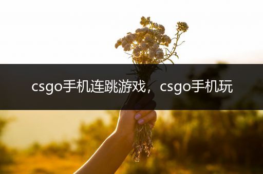 csgo手机连跳游戏，csgo手机玩