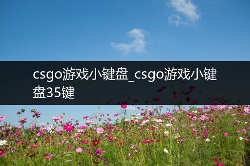 csgo游戏小键盘_csgo游戏小键盘35键