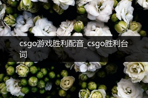 csgo游戏胜利配音_csgo胜利台词