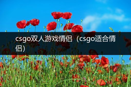 csgo双人游戏情侣（csgo适合情侣）