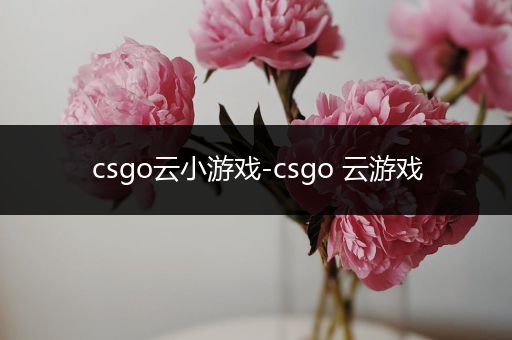 csgo云小游戏-csgo 云游戏