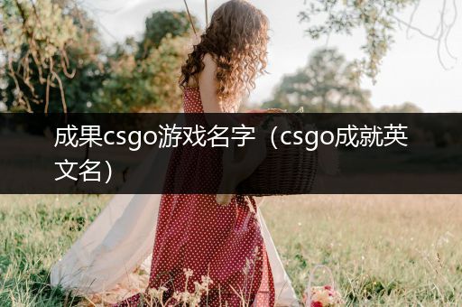成果csgo游戏名字（csgo成就英文名）
