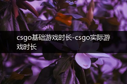 csgo基础游戏时长-csgo实际游戏时长