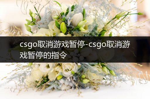 csgo取消游戏暂停-csgo取消游戏暂停的指令