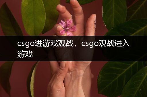 csgo进游戏观战，csgo观战进入游戏