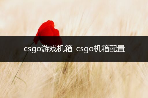 csgo游戏机箱_csgo机箱配置