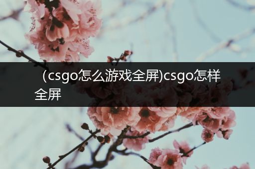 （csgo怎么游戏全屏)csgo怎样全屏