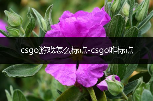 csgo游戏怎么标点-csgo咋标点