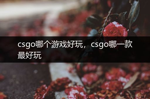 csgo哪个游戏好玩，csgo哪一款最好玩