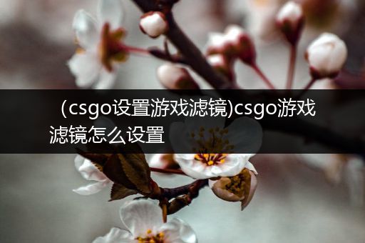 （csgo设置游戏滤镜)csgo游戏滤镜怎么设置