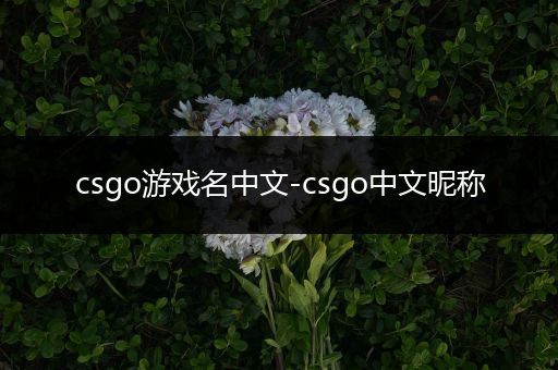 csgo游戏名中文-csgo中文昵称