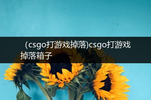 （csgo打游戏掉落)csgo打游戏掉落箱子