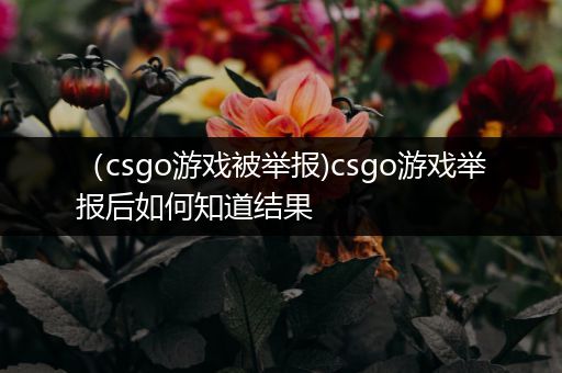 （csgo游戏被举报)csgo游戏举报后如何知道结果