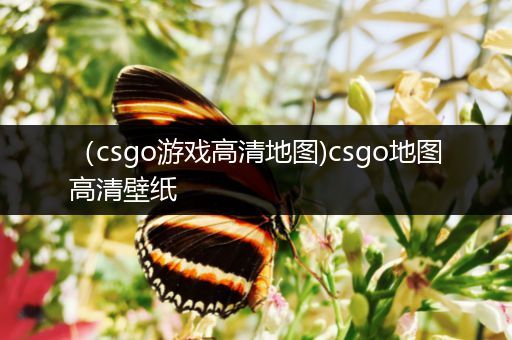 （csgo游戏高清地图)csgo地图高清壁纸