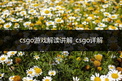 csgo游戏解读讲解_csgo详解