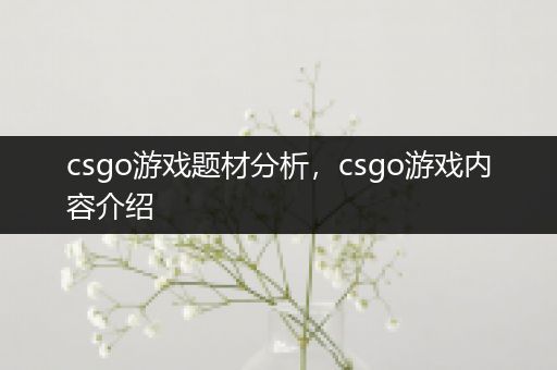 csgo游戏题材分析，csgo游戏内容介绍