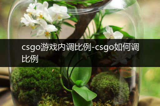 csgo游戏内调比例-csgo如何调比例