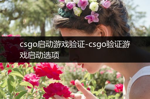 csgo启动游戏验证-csgo验证游戏启动选项