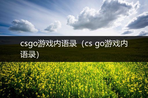 csgo游戏内语录（cs go游戏内语录）