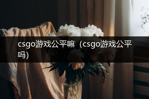 csgo游戏公平嘛（csgo游戏公平吗）