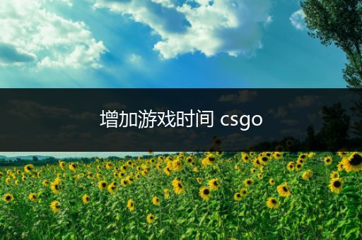 增加游戏时间 csgo