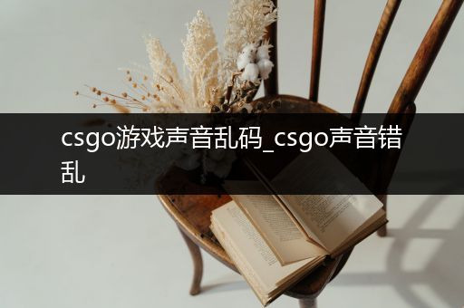 csgo游戏声音乱码_csgo声音错乱