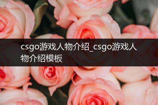 csgo游戏人物介绍_csgo游戏人物介绍模板