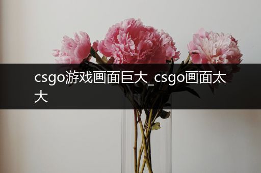 csgo游戏画面巨大_csgo画面太大