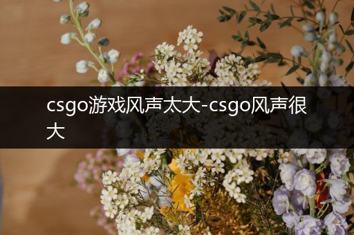 csgo游戏风声太大-csgo风声很大